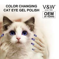 Color Changing Cat Eye Chameleon Soak Off UV LED Gel Nail Polish